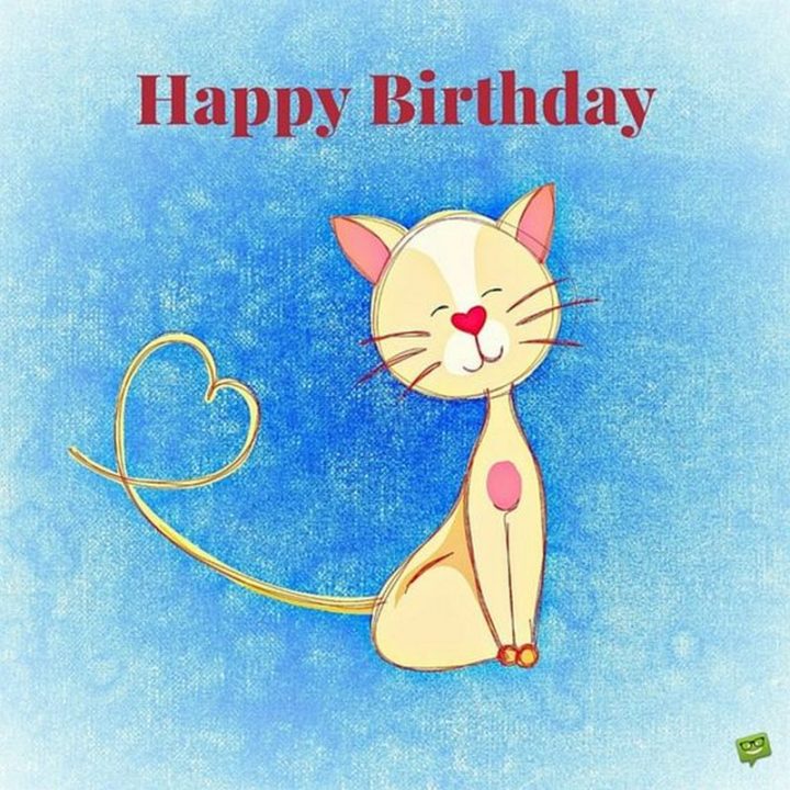 35 Happy Birthday Wishes Involving Cat Memes - My Happy ...