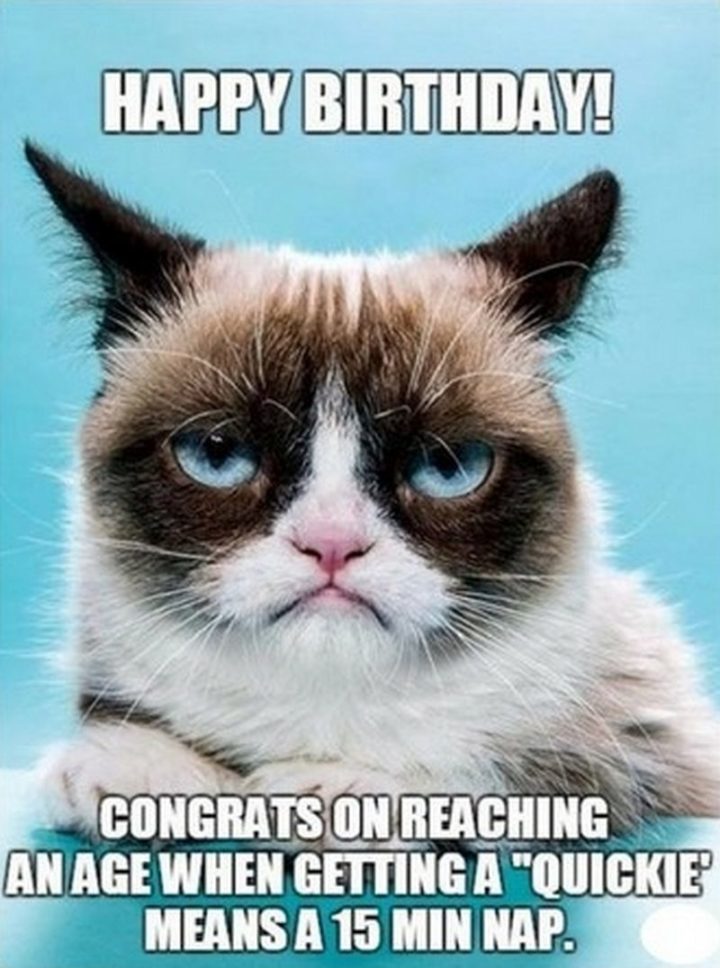 101 Funny Cat Birthday Memes - "Happy birthday! Congrats on reaching an age when getting a 'quickie' means a 15-minute nap."