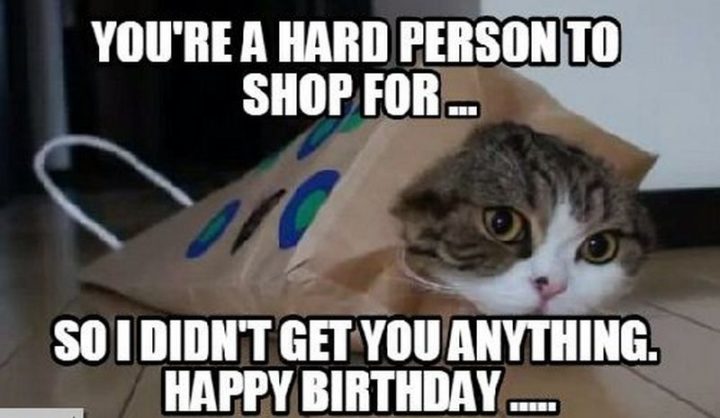 101 Funny Cat Birthday Memes - "You're a hard person to shop for...so I didn't get you anything. Happy birthday..."