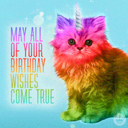 101 Funny Cat Birthday Memes - "May all of your birthday wishes come true."