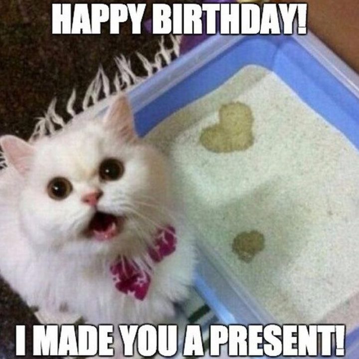 101 Funny Cat Birthday Memes - "Happy birthday! I made you a present!"