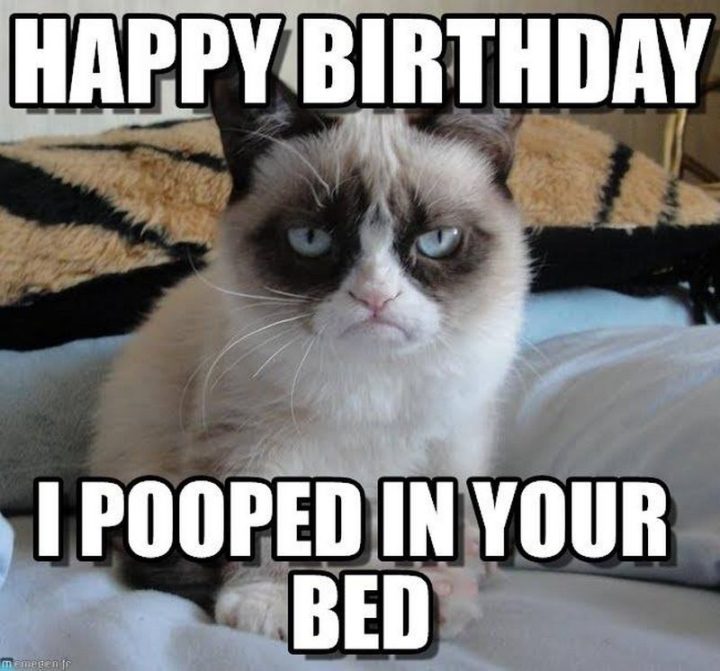 "Happy birthday. I pooped in your bed."