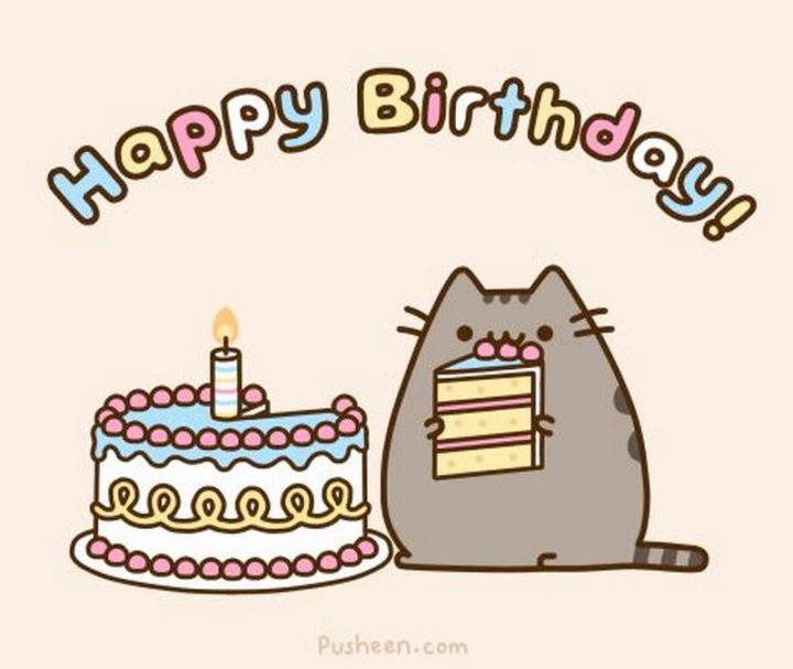 101 Funny Cat Birthday Memes - "Happy Birthday!"