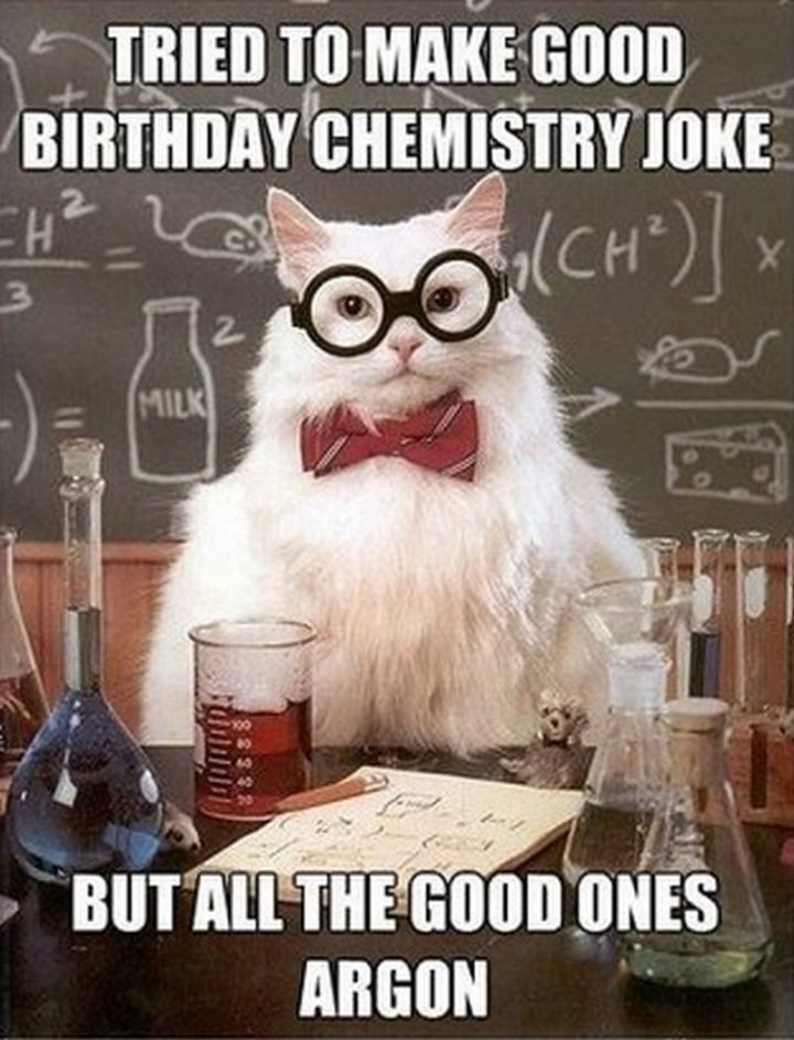 101 Funny Cat Birthday Memes - "Tried to make good birthday chemistry joke but all the good ones argon."