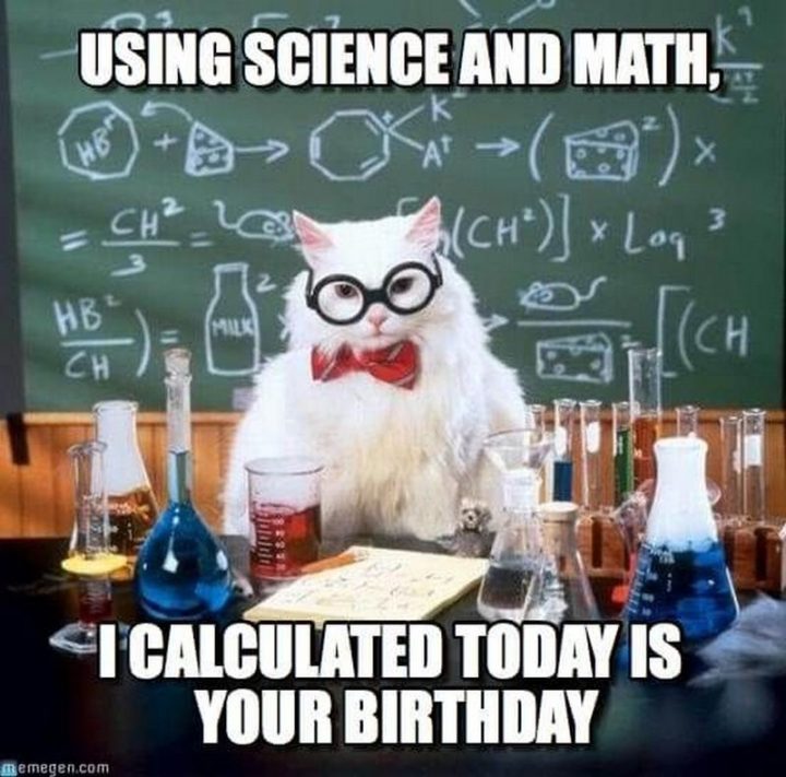 101 Funny Cat Birthday Memes - "Using science and math, I calculated today is your birthday."