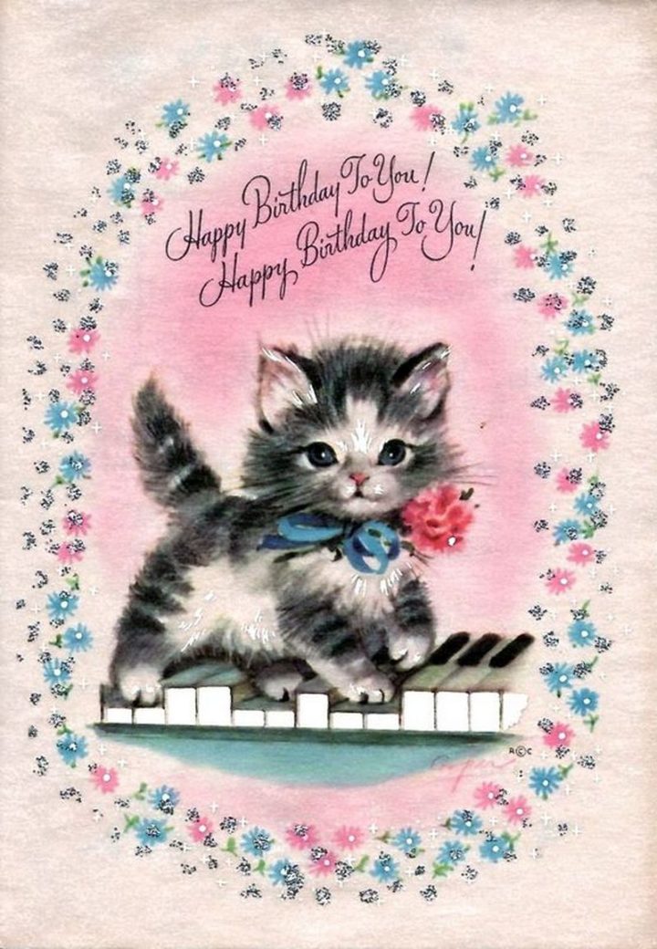 101 Funny Cat Birthday Memes - "Happy Birthday To You! Happy Birthday To You!"