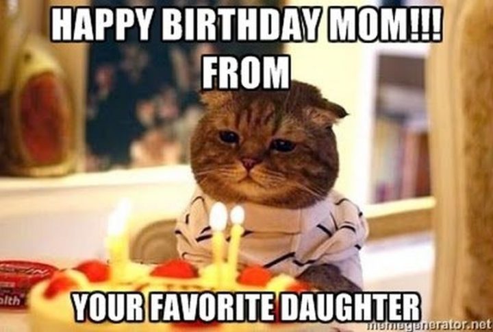 101 Funny Cat Birthday Memes - "Happy birthday mom!!! From your favorite daughter."