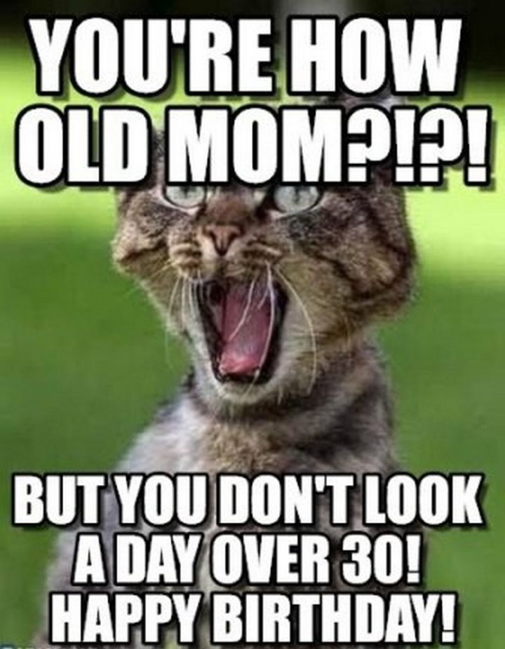 101 Funny Cat Birthday Memes - "You're how old mom?!?! But you don't look a day over 30! Happy birthday!"