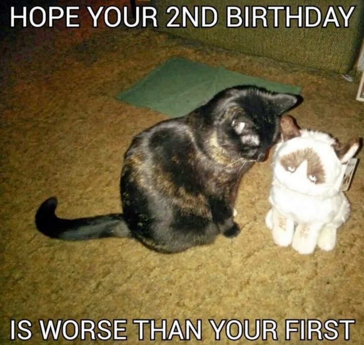 "Hope your 2nd birthday is worse than your first."