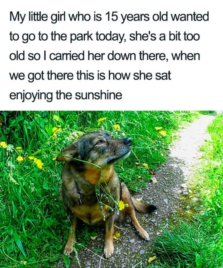 "My little girl who is 15 years old wanted to go to the park today, she's a bit too old so I carried her down there. When we got there this is how she sat enjoying the sunshine."