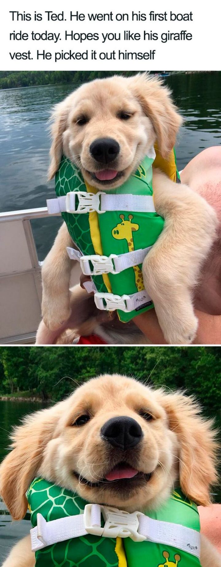 "This is Ted. He went on his first boat ride today. Hopes you like his giraffe vest. He picked it out himself."