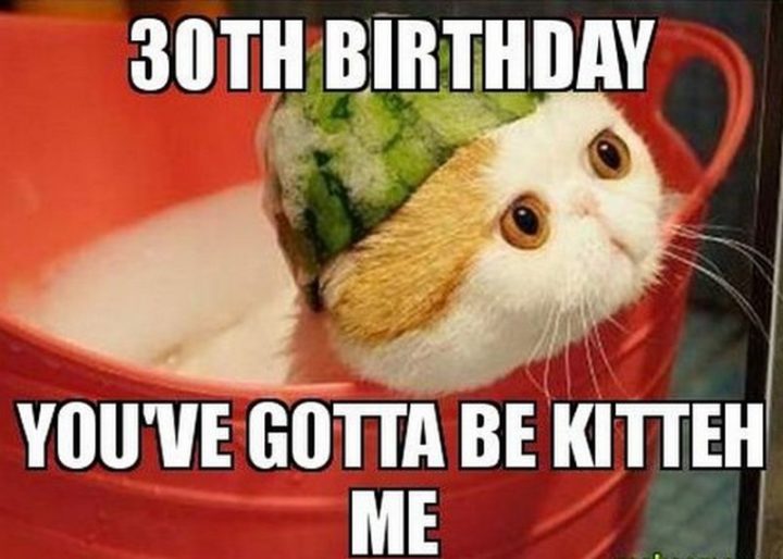 "30th birthday. You've gotta be kitteh me."