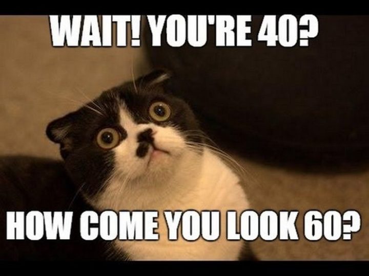 "Wait! You're 40? How come you look 60?"