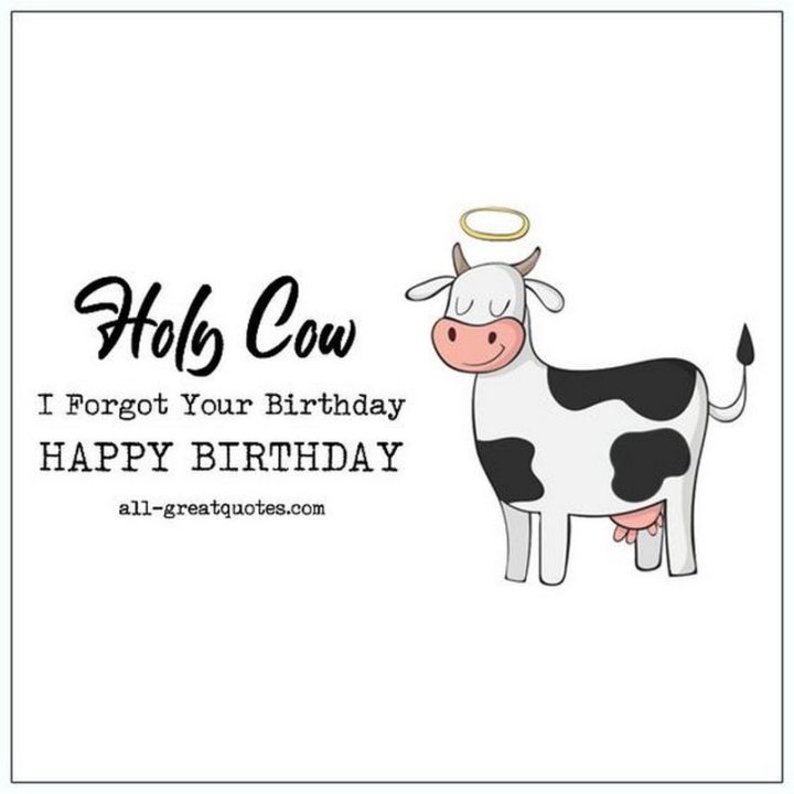 "Holy cow, I forgot your birthday. Happy Birthday."