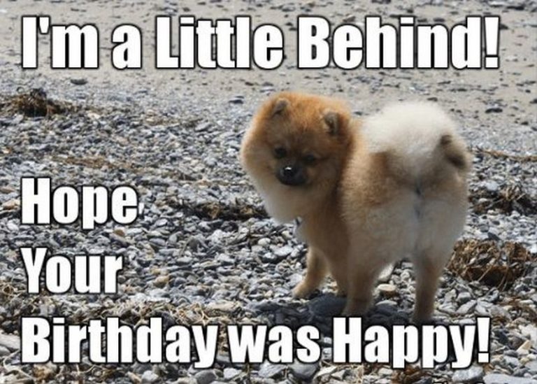Group of funny belated birthday memes