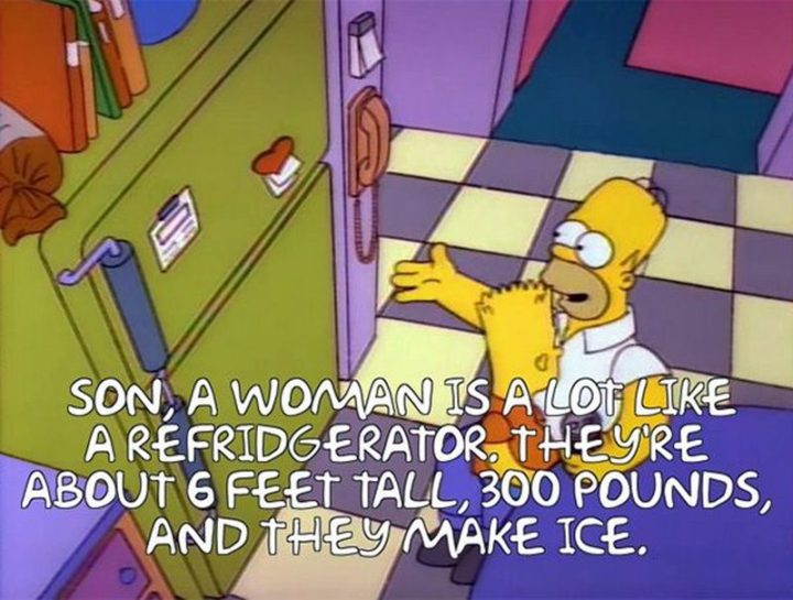 27 Homer Simpson Quotes - "Son, a woman is a lot like a refrigerator. They're about 6 feet tall, 300 pounds, and they make ice."