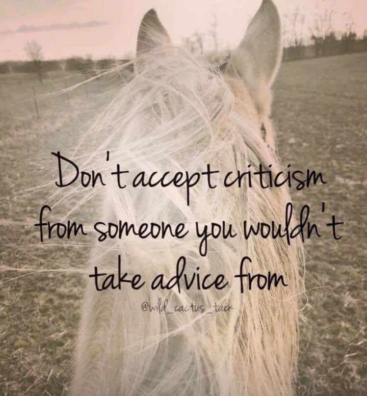 41 Incredibly Powerful Quotes - "Don’t take criticism from someone you wouldn’t take advice from." - Anonymous