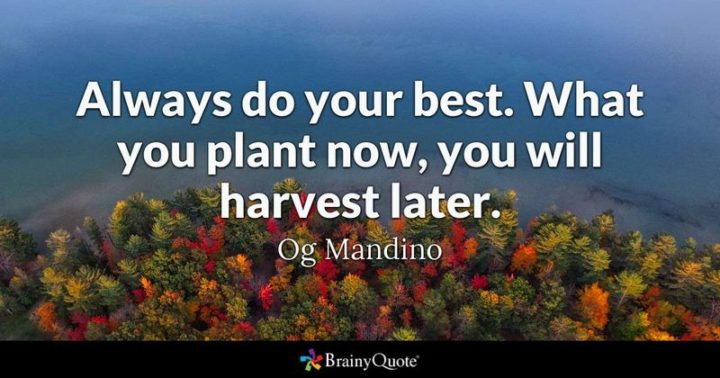 41 Incredibly Powerful Quotes - "Always do your best. What you plant now, you will harvest later." - A powerful quote by Og Mandino