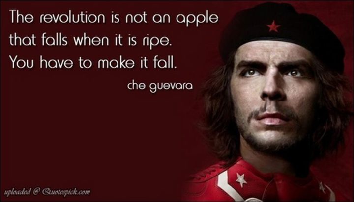 41 Incredibly Powerful Quotes - "The revolution is not an apple that falls when it is ripe. You have to make it fall." - Che Guevara