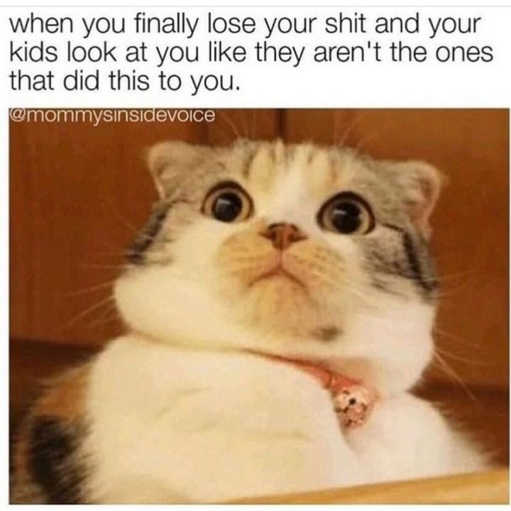 61 Funny Parenting Memes - "When you finally lose your shit and your kids look at you like they aren't the ones that did this to you."