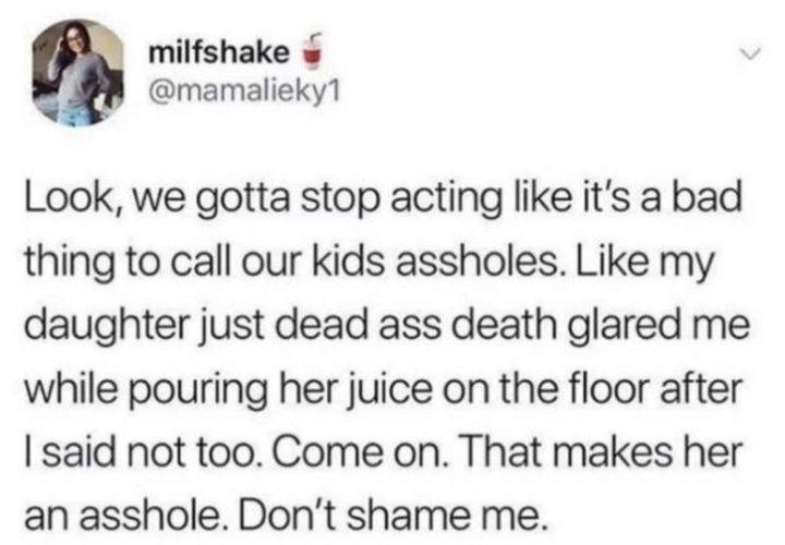 "Look, we gotta stop acting like it's a bad thing to call our kids a$$holes. Like my daughter just dead a$$ death glared me while pouring her juice on the floor after I said not too. Come on. That makes her an a$$hole. Don't shame me."