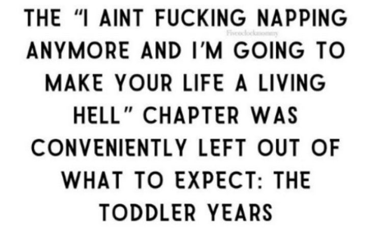 "The 'I ain't f***ing napping anymore and I'm going to make your life a living hell' chapter was conveniently left out of What to Expect: The Toddler Years."