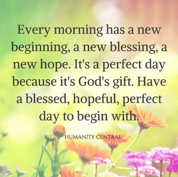 75 Good Morning Quotes To Start Your Lovely Day With Positivity