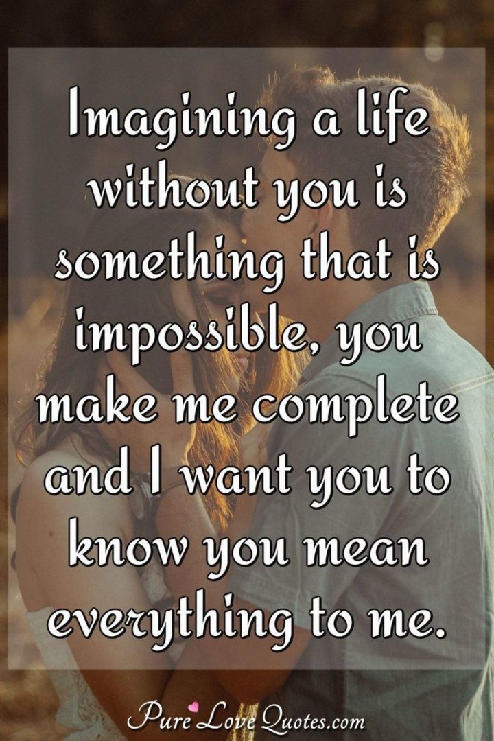 "Imagining a life without you is something that is impossible, you make me complete and I want you to know you mean everything to me." - Anonymous