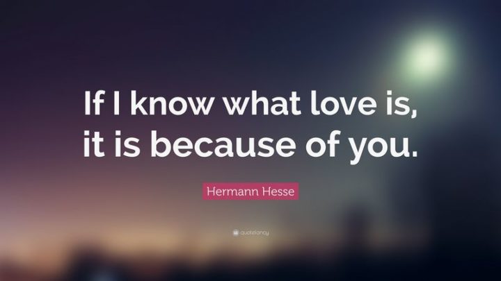 51 Love Quotes for Him - "If I know what love is, it is because of you." - Hermann Hesse