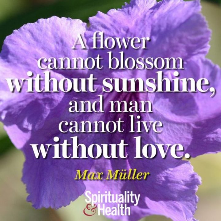 51 Love Quotes for Him - "A flower cannot blossom without sunshine, and man cannot live without love." - Max Muller