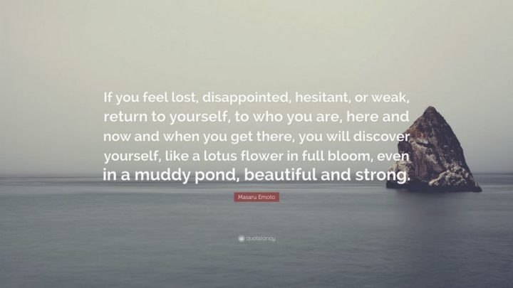 61 Meaningful Quotes - "If you feel lost, disappointed, hesitant, or weak, return to yourself, to who you are, here and now and when you get there, you will discover yourself, like a lotus flower in full bloom, even in a muddy pond, beautiful and strong." - Masaru Emoto