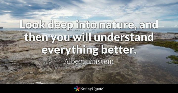 61 Meaningful Quotes - "Look deep into nature, and then you will understand everything better." - Albert Einstein