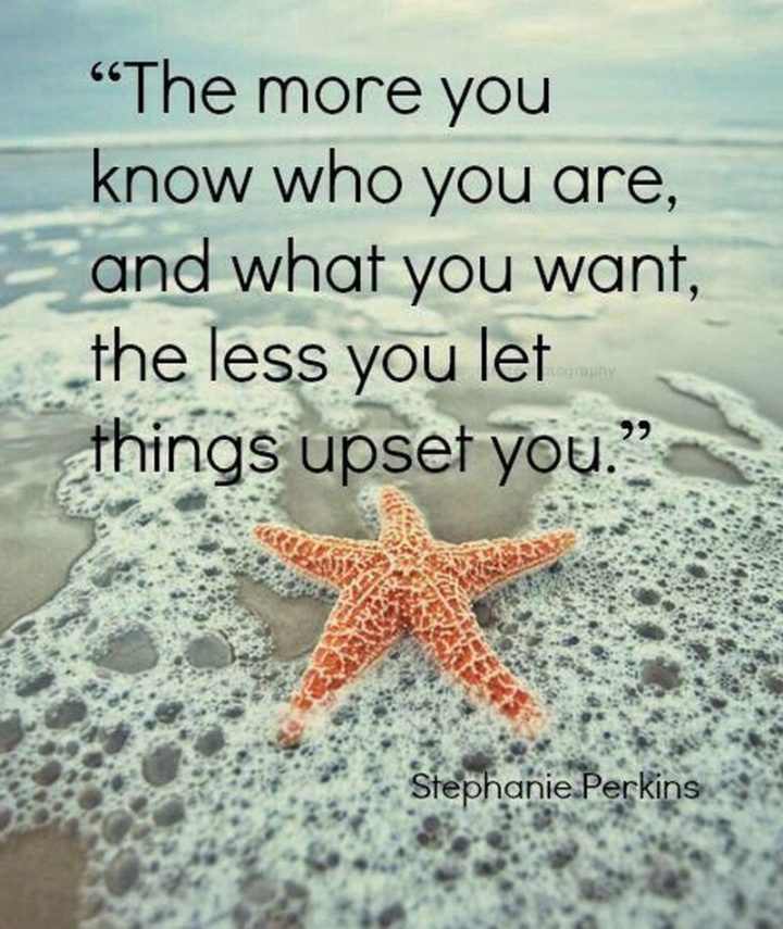 61 Meaningful Quotes - "The more you know who you are, and what you want, the less you let things upset you." - Stephanie Perkins