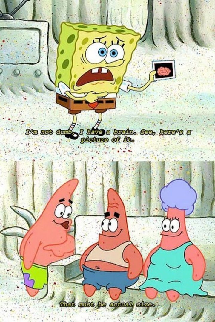 Funny SpongeBob Memes - "I'm not dumb, I have a brain. See, here's a picture of it. That must be actual size."