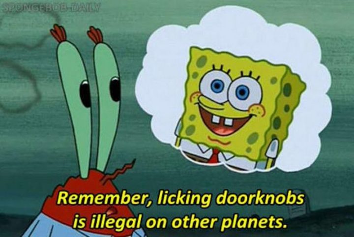 Funny SpongeBob Memes - "Remember, licking doorknobs is illegal on other planets."
