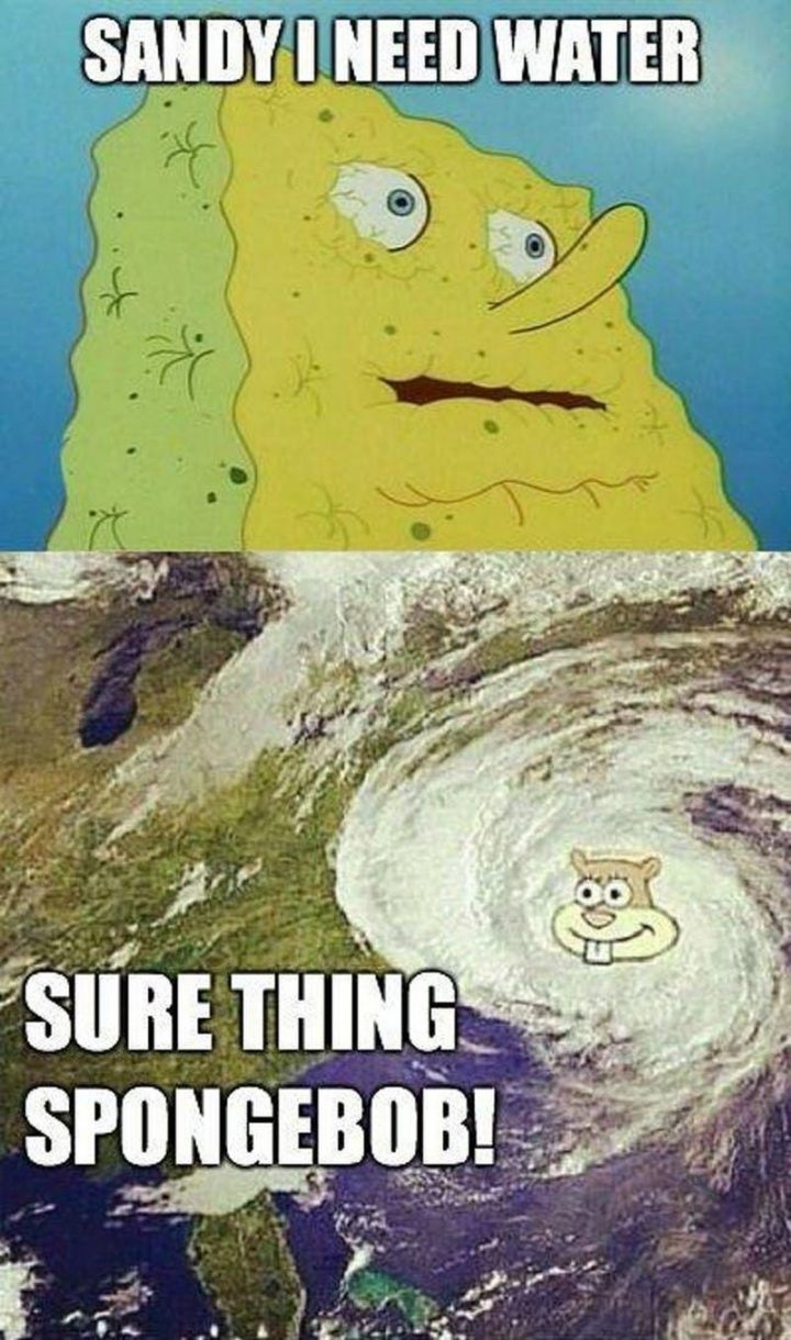 Funny SpongeBob Memes - "Sandy I need water. Sure thing Spongebob!"