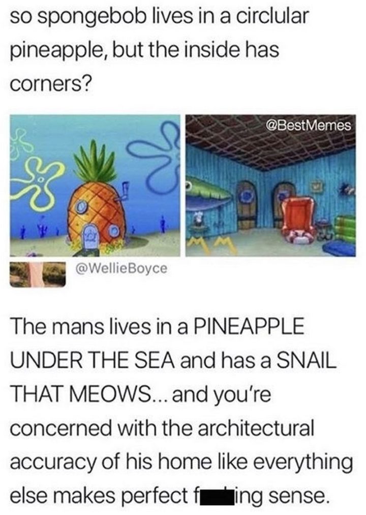 Funny SpongeBob Memes - "So Spongebob lives in a circular pineapple, but the inside has corners? The man lives in a PINEAPPLE UNDER THE SEA and has a SNAIL THAT MEOWS...and you're concerned with the architectural accuracy of his home like everything else makes perfect f***ing sense."