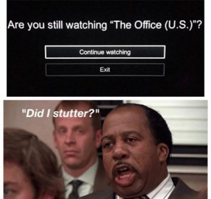 57 The Office Memes - "Are you still watching 'The Office (U.S.)'? [Continue watching or Exit] Did I stutter?"