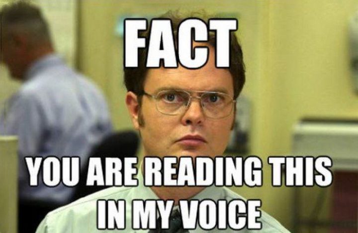 57 sjove 'the Office'-memes - Fakta: Du læser dette med min stemme.