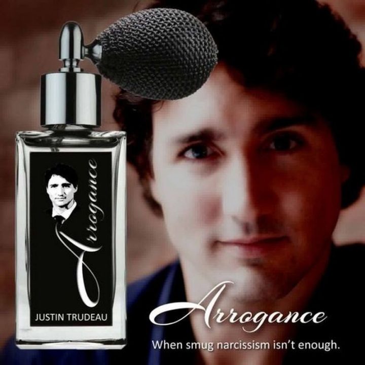 51 Best Justin Trudeau Memes - "Arrogance: When smug narcissism isn't enough."