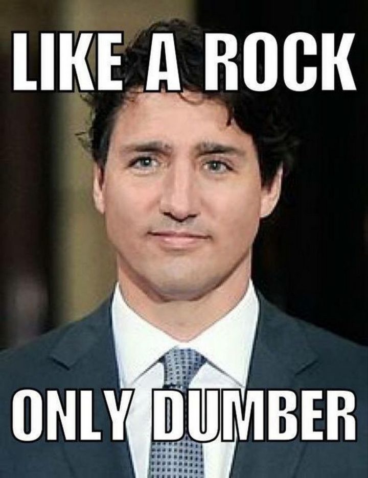51 Best Justin Trudeau Memes - "Like a rock. Only dumber."