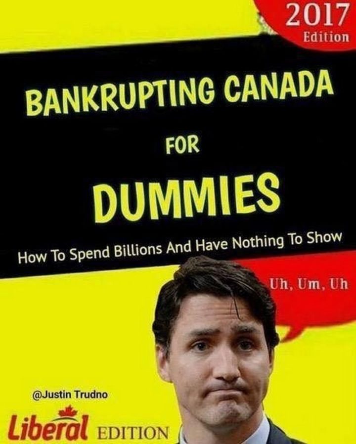 51 Best Justin Trudeau Memes - "Bankrupting Canada for Dummies: How to spend billions and have nothing to show. Liberal Edition. Uh, Um, Uh."