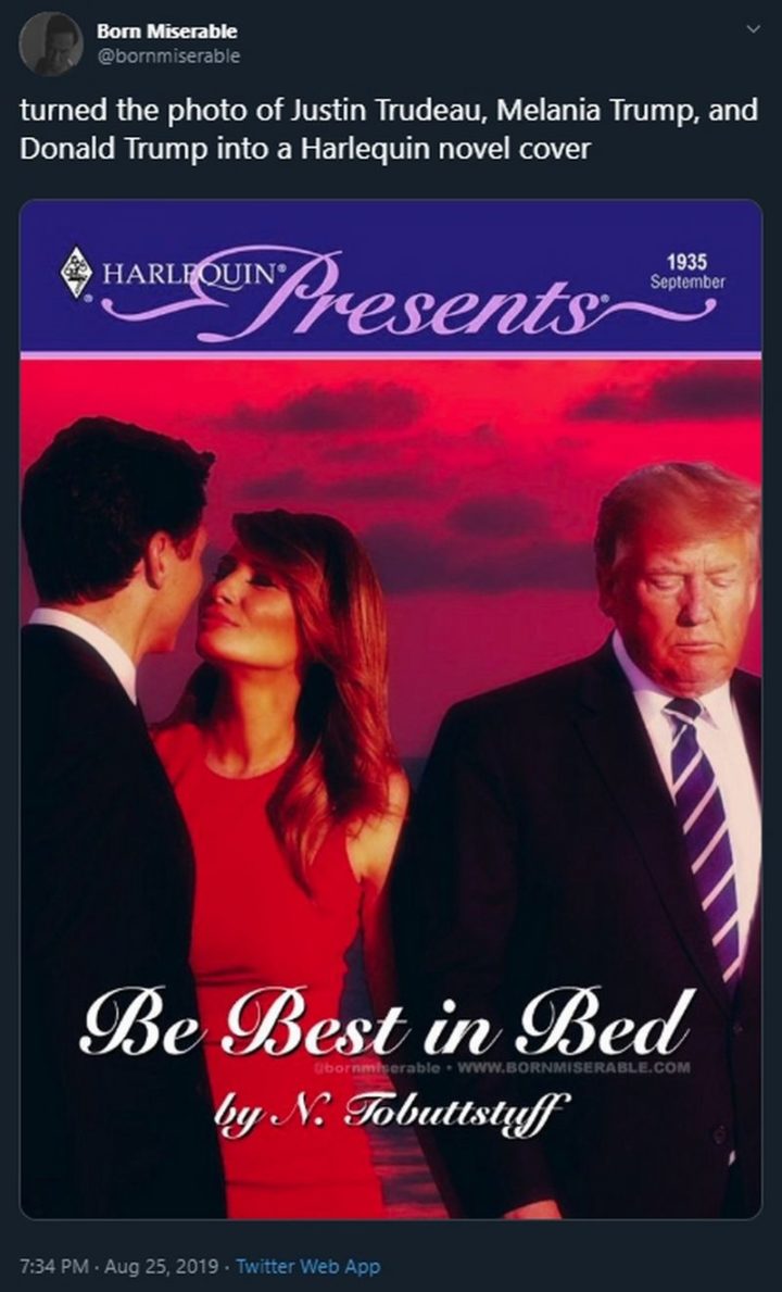 "Turned the photo of Justin Trudeau, Melania Trump, and Donald Trump into a Harlequin novel cover."