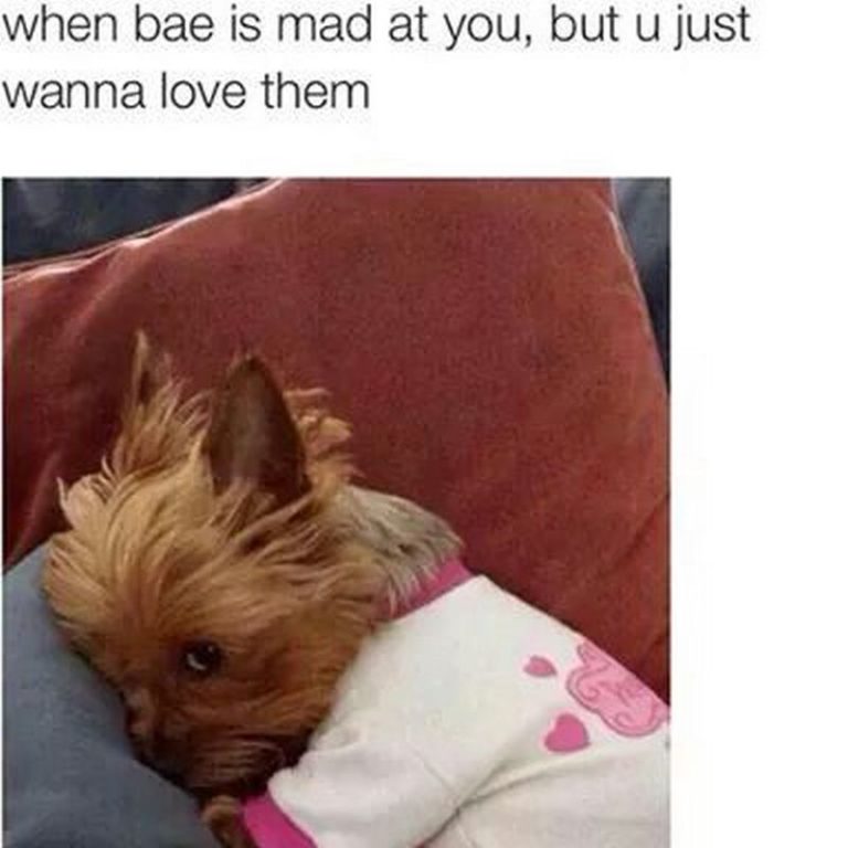 61 Funny Boyfriend Memes That People Crazy in Love Will Relate To