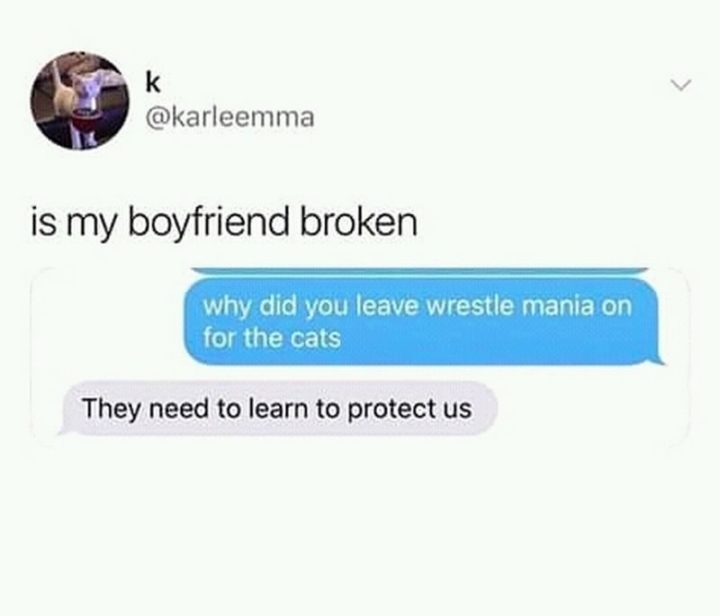 "Is my boyfriend broken?: Why did you leave wrestle mania on for the cats? They need to learn to protect us."