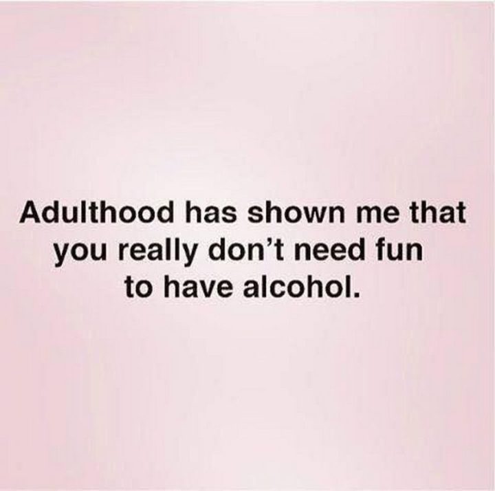 61 Funny Clean Memes - "Adulthood has shown me that you really don't need fun to have alcohol."