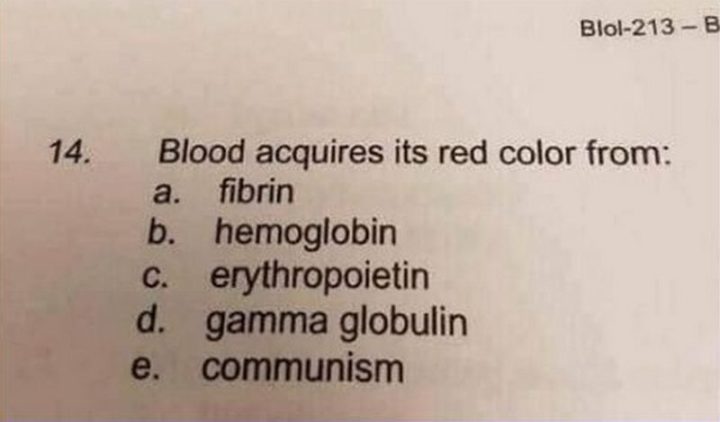 61 Funny Clean Memes - "Blood acquires its red color from: a) fibrin b) hemoglobin c) erythropoietin d) gamma globulin e) communism."