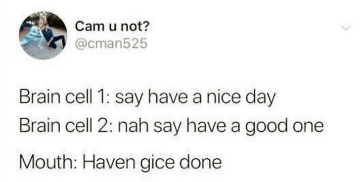 61 Funny Clean Memes - "Brain cell 1: Say have a nice day. Brain cell 2: Nah say have a good one. Mouth: Haven gice done."