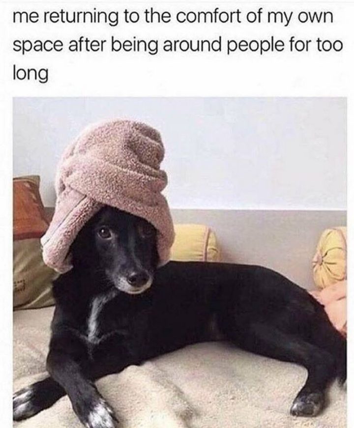 61 Funny Clean Memes - "Me returning to the comfort of my own space after being around people for too long."