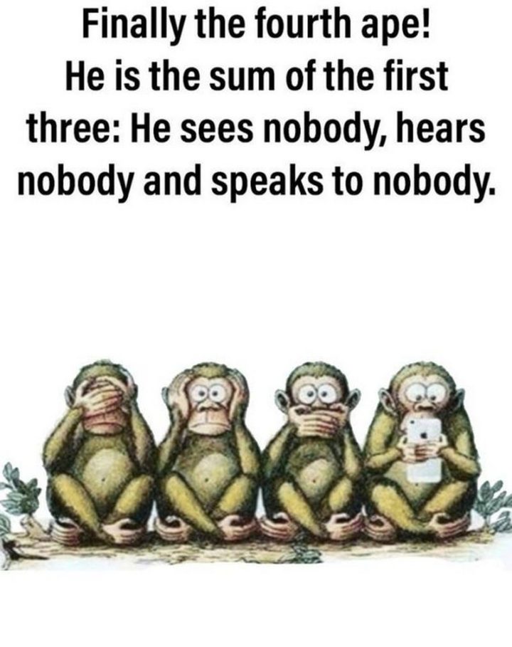 61 Funny Clean Memes - "Finally the fourth ape! He is the sum of the first three: He sees nobody, hears nobody, and speaks to nobody."